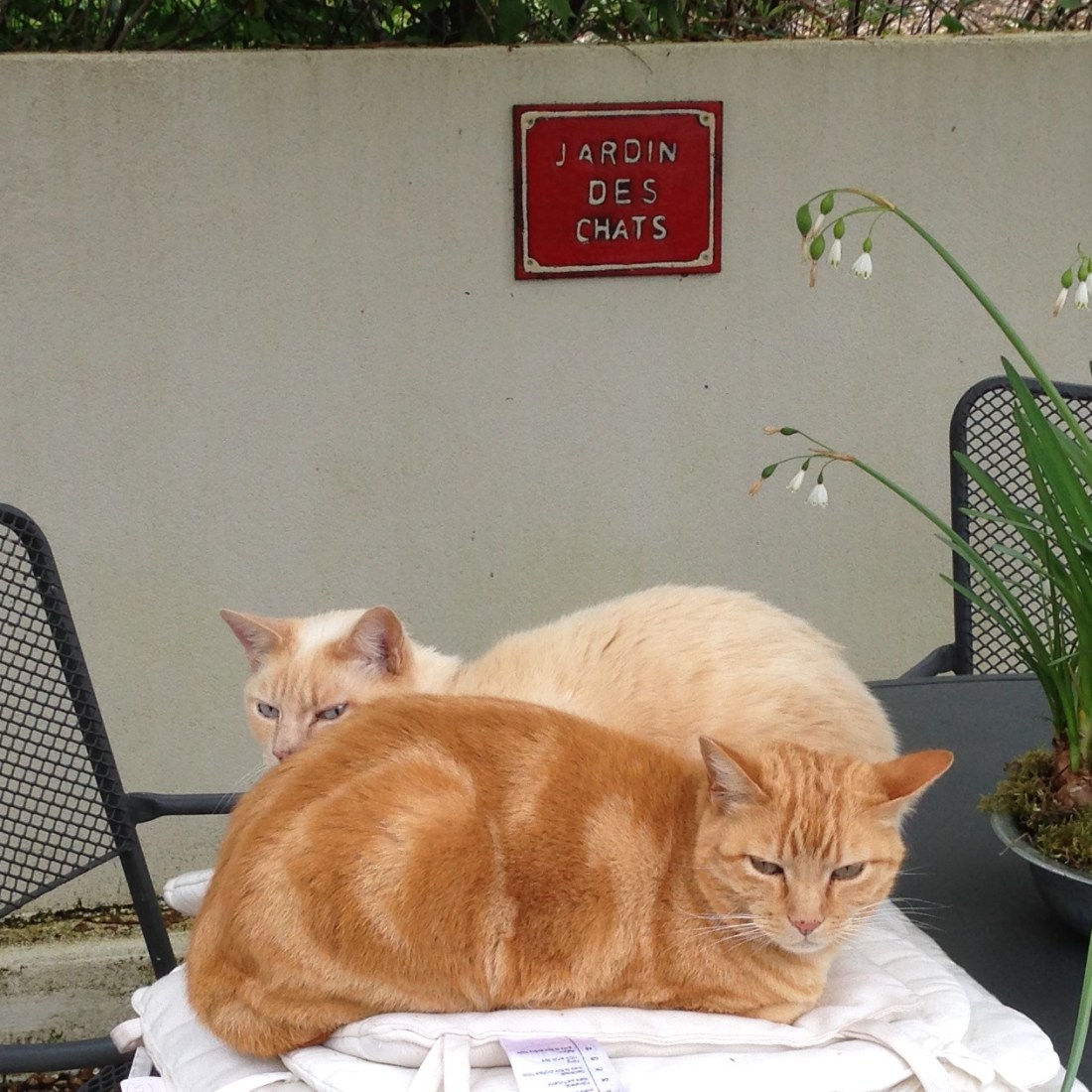 4F2F287B-B15B-43B2-8B93-1525C2AEC643