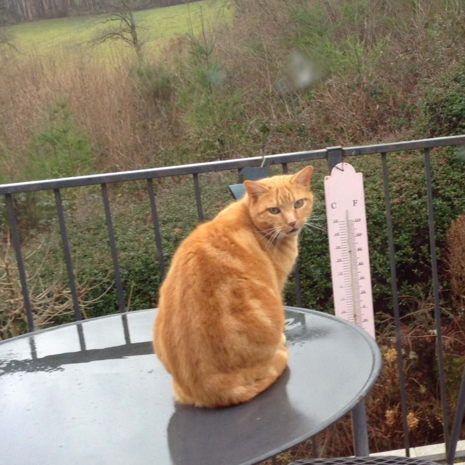 8B263E9E-E244-4DAE-B61D-75B05E143B31