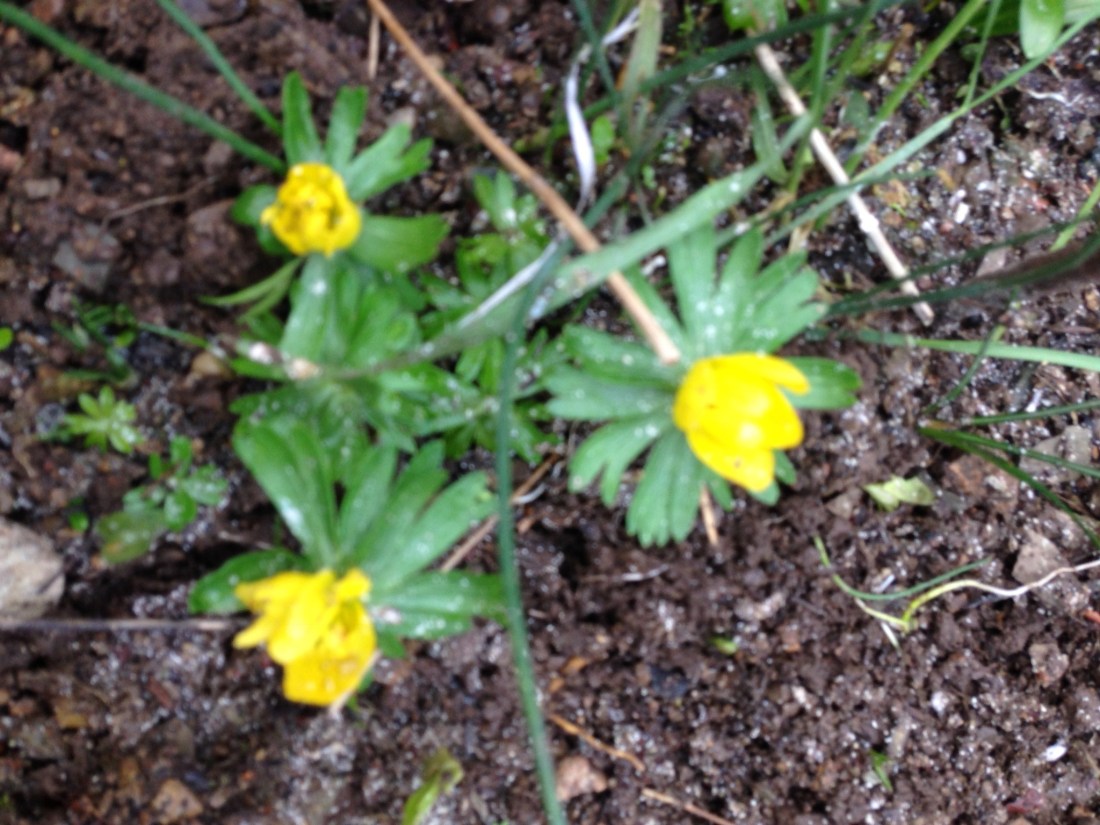 C8544937-33BE-4CF2-902C-A1986497E93A