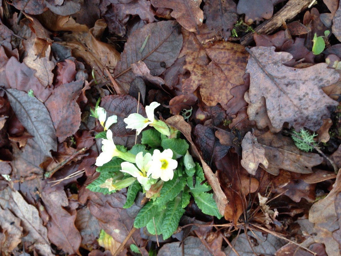 DF46CFF3-2478-4914-9C32-6E74983FBEBE