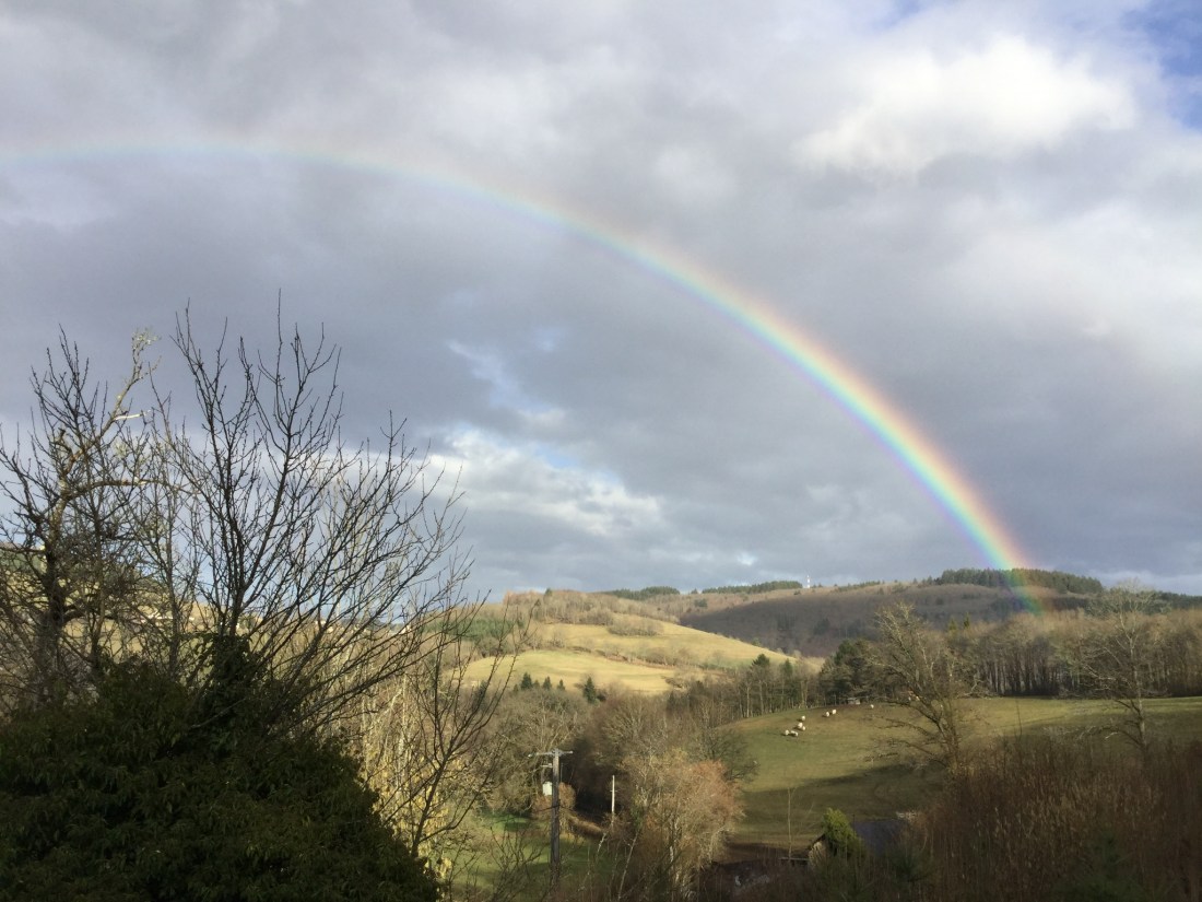 D1E0CC2F-5470-478C-897E-C0A487BF7F32