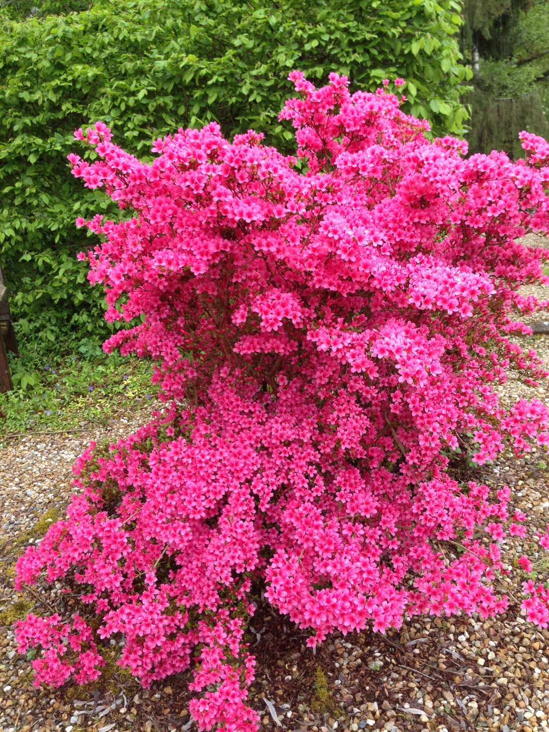 55F90F7E-C686-4F06-98EA-23DD1DAD16ED