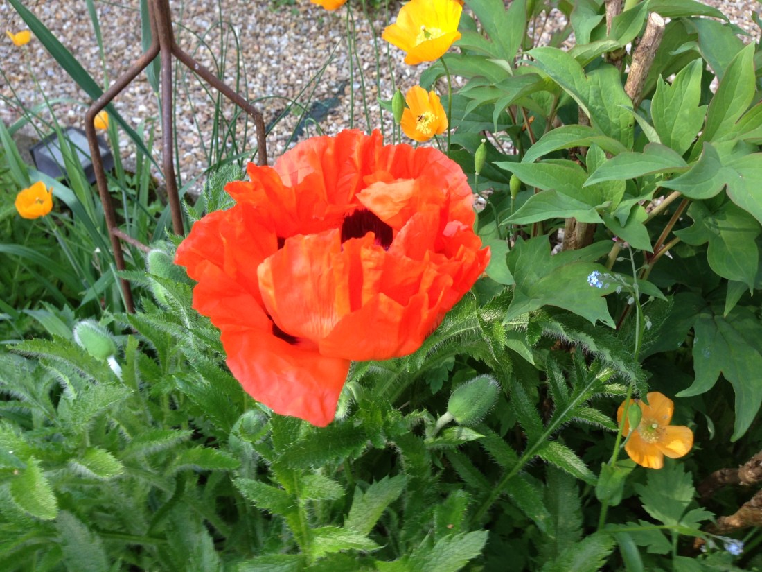 69ED60B7-A4E9-42E6-83B3-BDEADFB8A36B