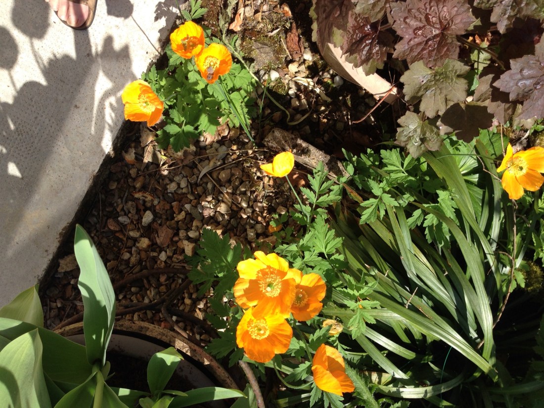 7E0E3833-7894-4BC9-A66A-CD3C4561FA74