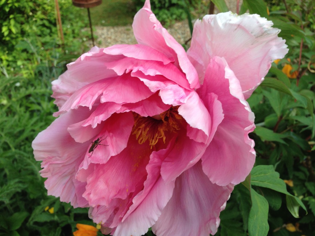 E2274390-79AA-4DC8-9D2D-B4DE792EACA4