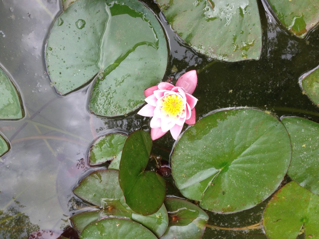 817F12D0-A5EC-4951-BEE9-1EFCE663E5B0