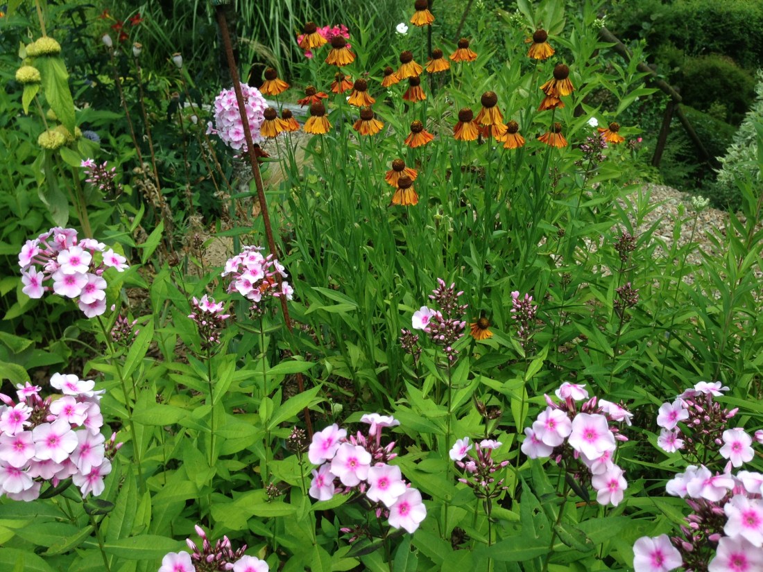 F0F502C7-12AD-4E6A-8AD8-F305E1DA4F80