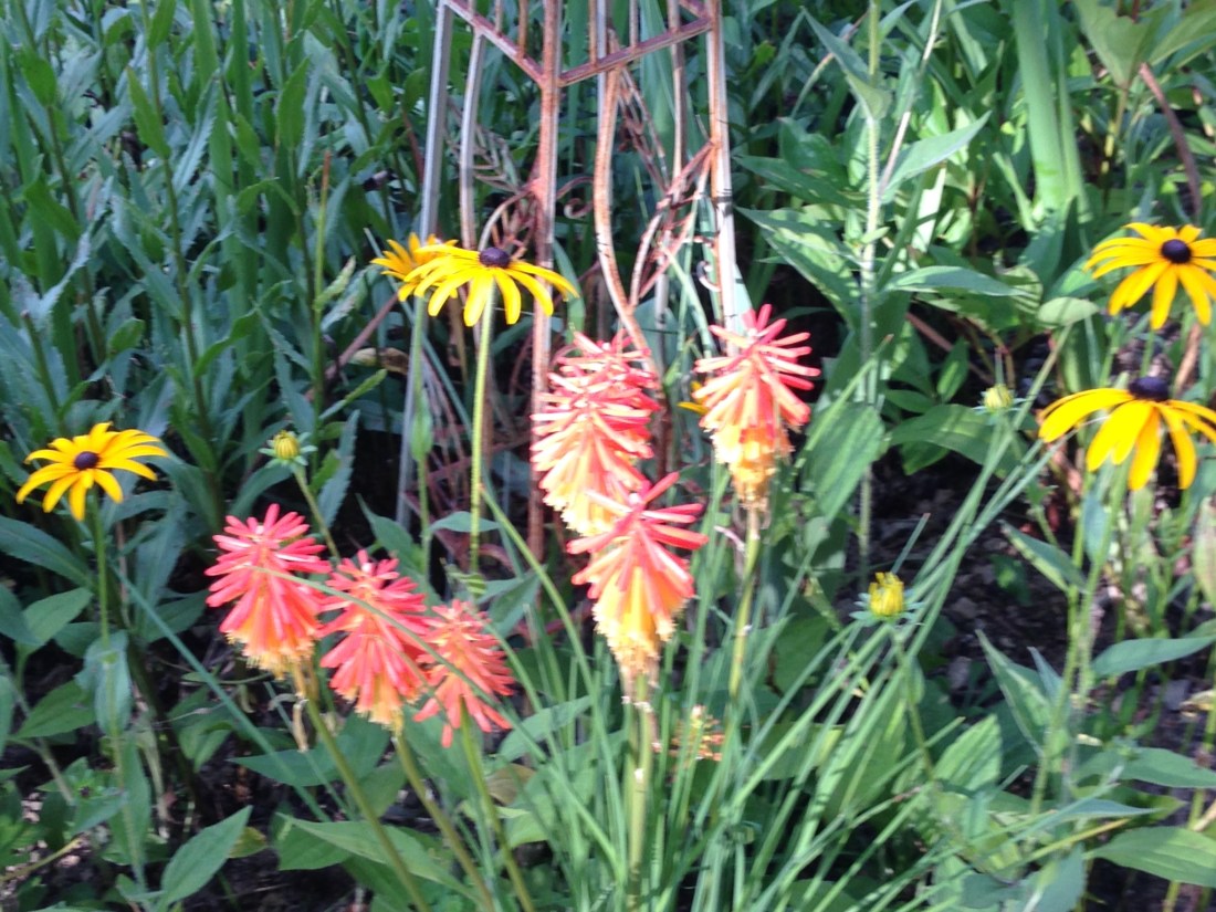 A0544FF7-D8B0-4C9C-9B9D-DB845D26D02E