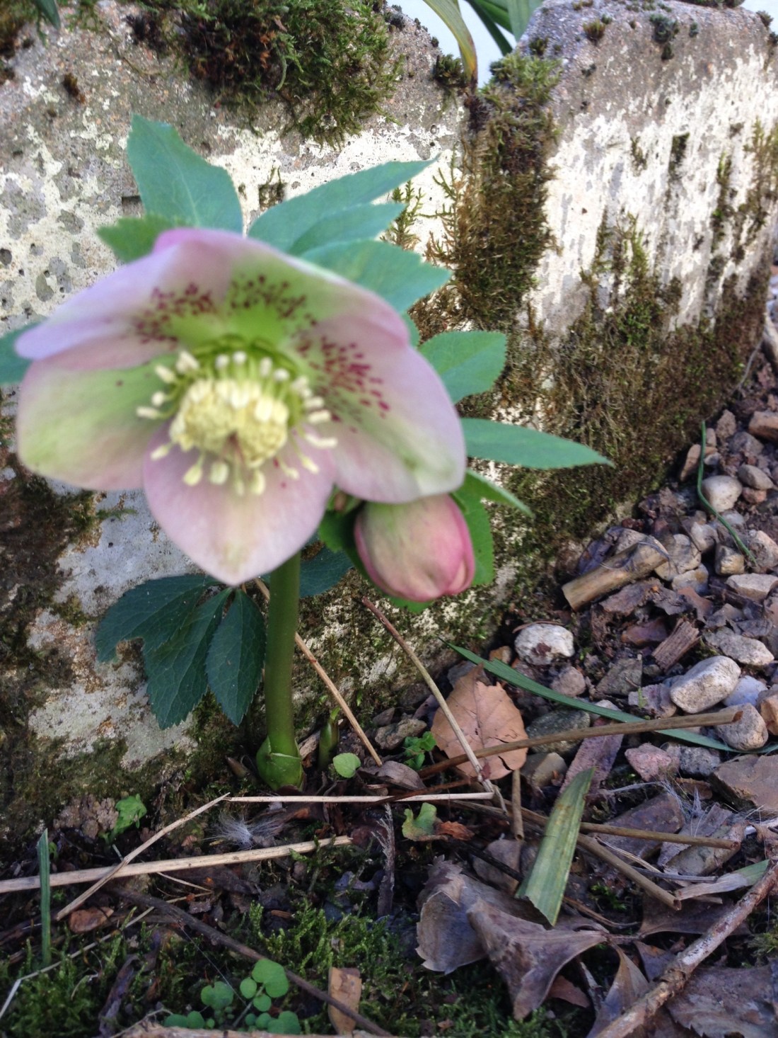 EC5962DA-5B4E-48AD-BC6F-88E50D3D3DE3