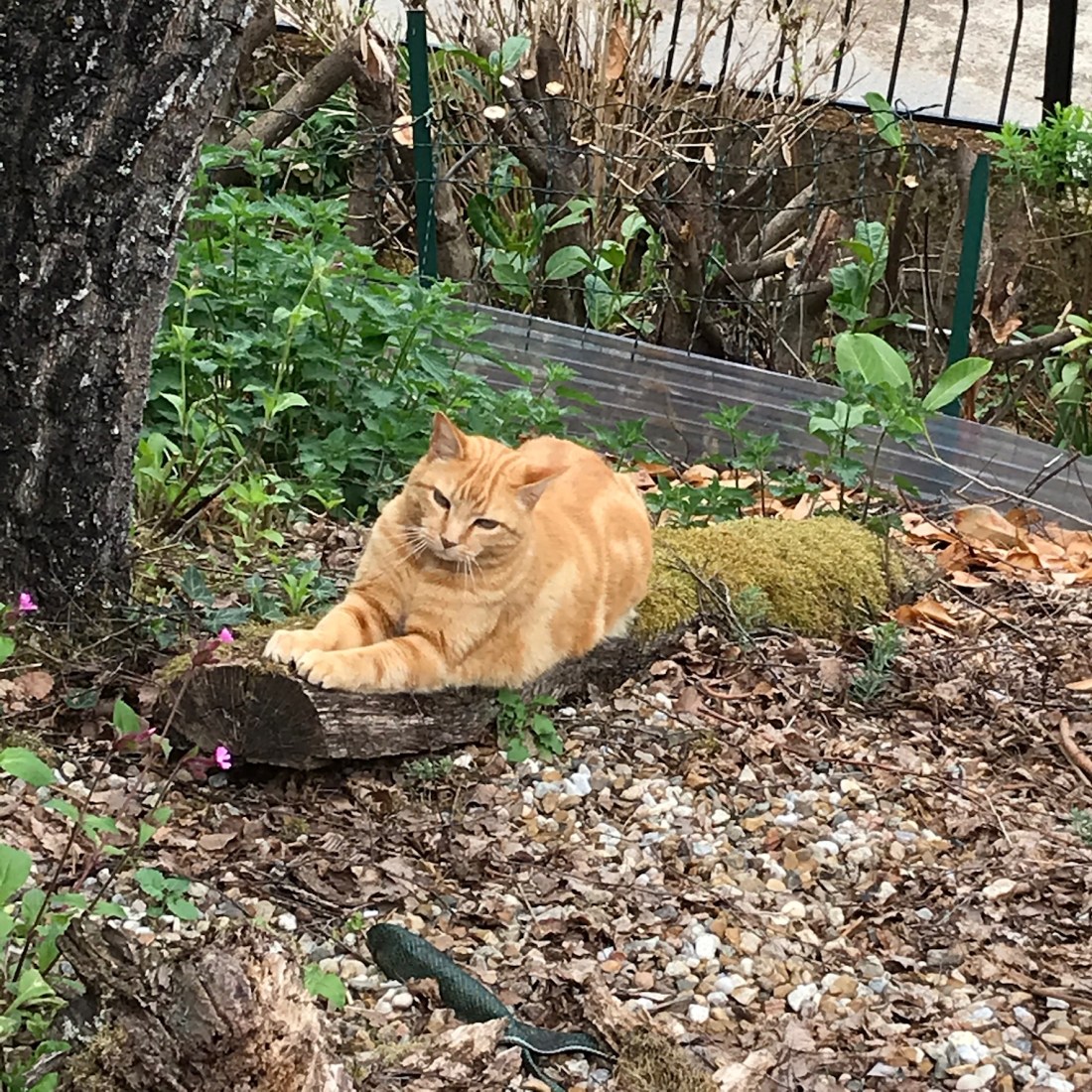 70B7C8FD-2358-4C0D-81CA-836C167618DA