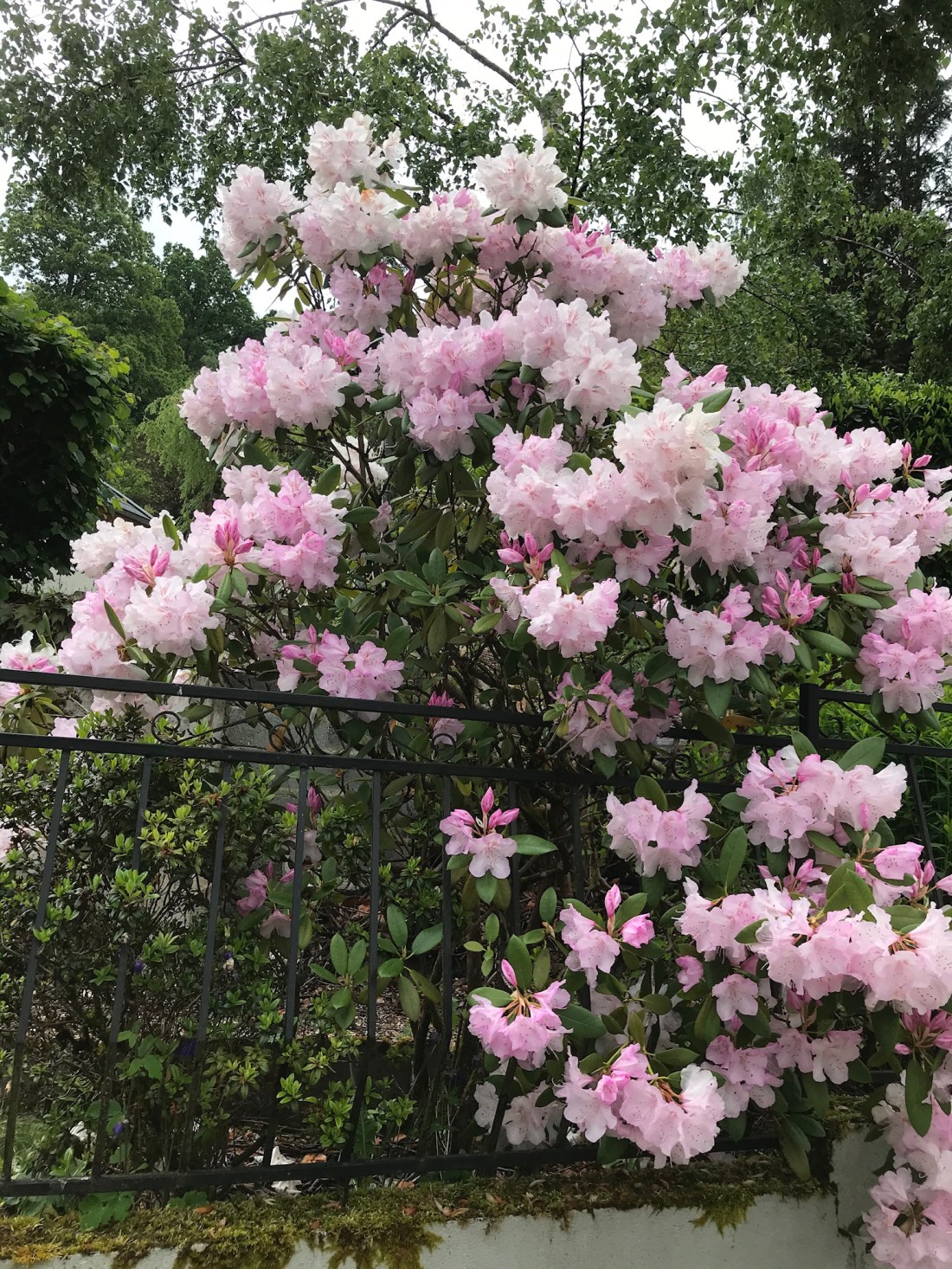 04B733B5-9F2C-46BE-A27C-49308817082D