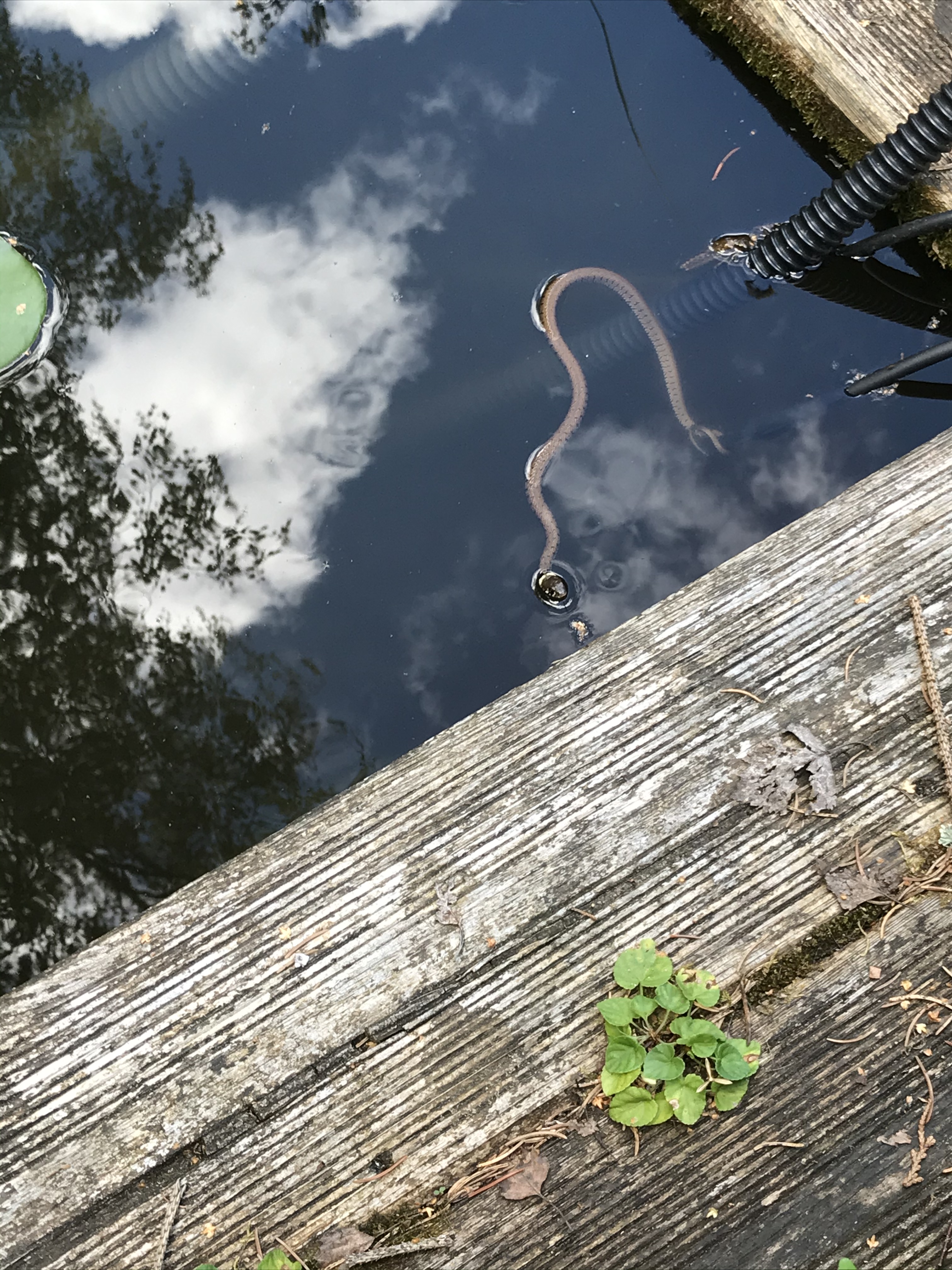 8DDC9ECC-EC40-4DCA-977E-273DE3814C7C