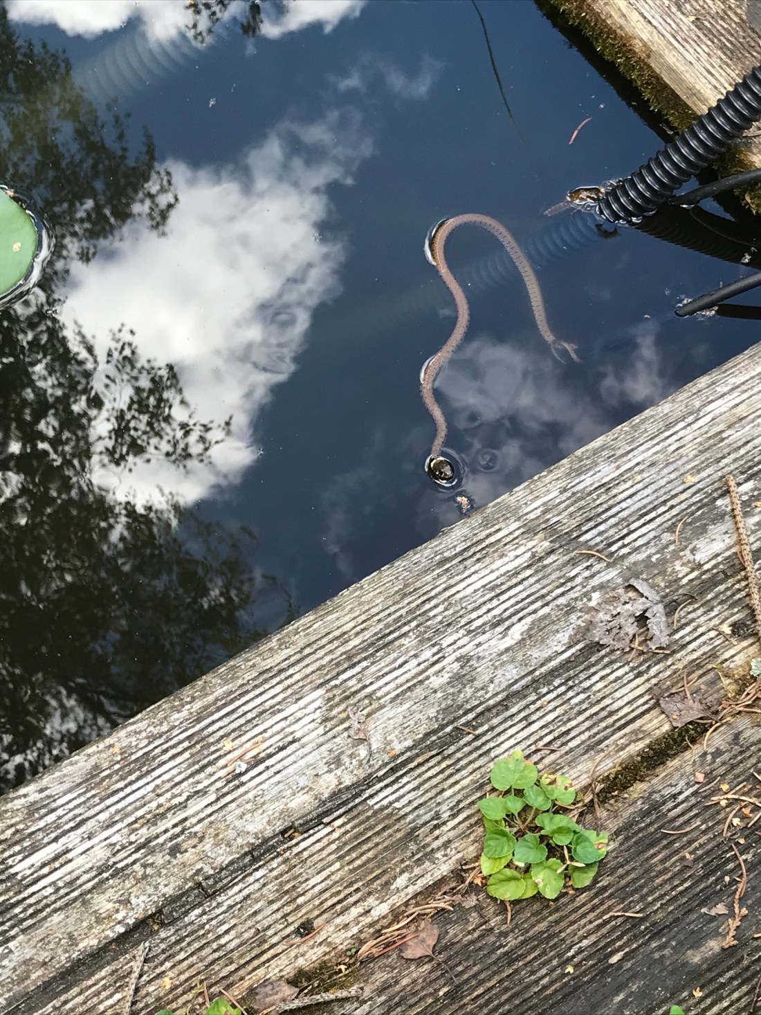 8DDC9ECC-EC40-4DCA-977E-273DE3814C7C